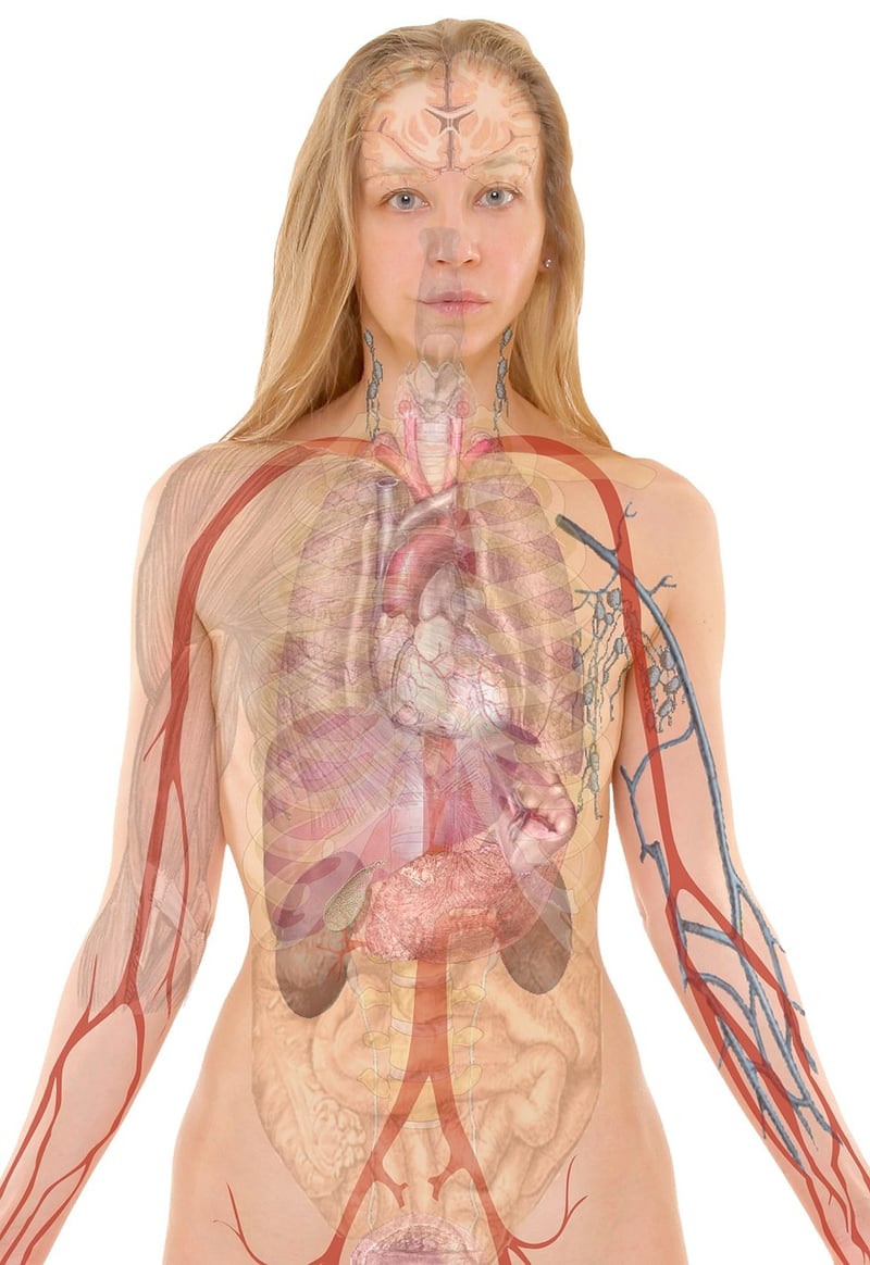 Somatic Experiencing Image